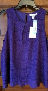 Stitch Fix/Fourteenth Place lace blouse